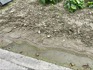 沖縄県 南城市 土と肥料の専門店 株式会社 シロマ なんじいアンド土